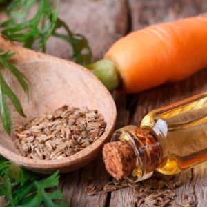 Carrot Seed Carrier Oil