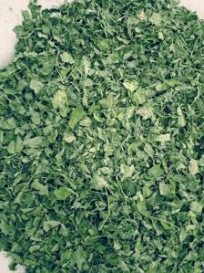 High grade Organic Moringa Dried Leaves