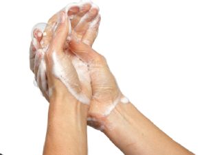 Alprosept Procedural Hand Scrub