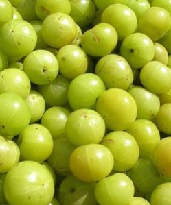 Fresh Amla