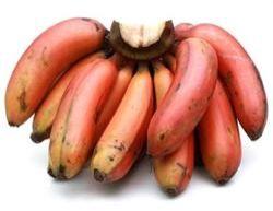 Fresh Red Banana