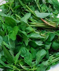 Fresh Siru Keerai Leaves