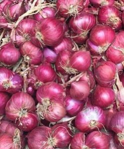 Fresh Small Onion