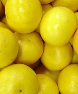 Fresh Yellow Lemon