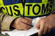 customs consultancy services