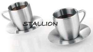 Stainless Steel Mug Set