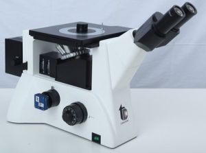 Trinocular Microscope