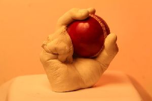 Cricket Lover 3D Hand Casting Kit
