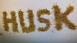 Dried Husks Rice Chaffs