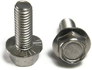 stainless steel flange nuts