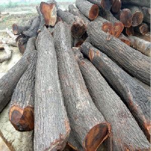 Babool Wood Logs