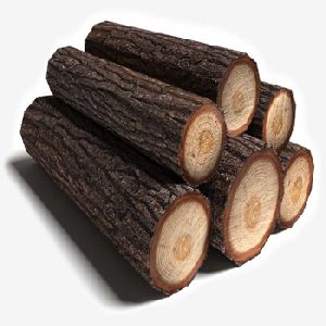 Oak Wood Logs