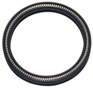 spring energized seal