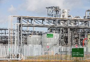 biodiesel production plant