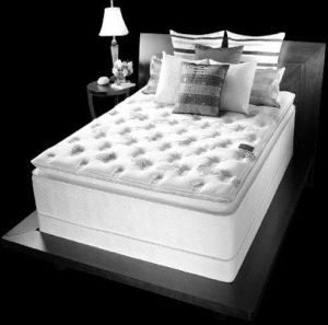 Dog-Rose Pocket Spring Mattresses