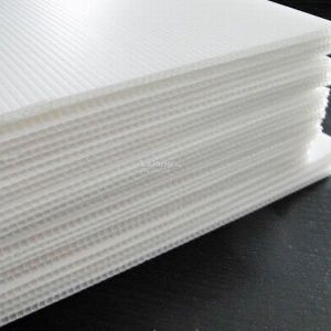 Pp Corrugated Sheet