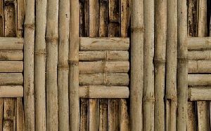 bamboo wood