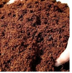 Coir Pith Powder