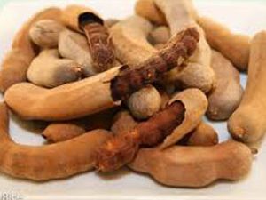 Fresh Tamarind