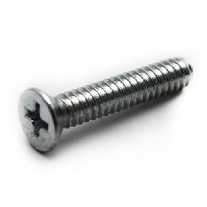 Galvanized screw