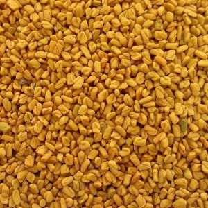 Fenugreek Seed