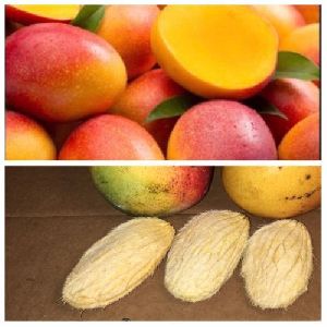Mango Seeds