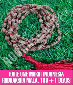 Rare One Mukhi Indonesia Rudraksha Mala 108+1 Beads