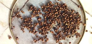 Henna Seeds