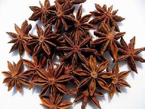 Star Anise Seeds