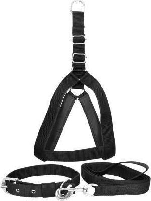Dog Harness