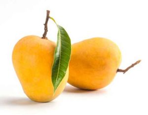 Ratnagiri Hapus Mango