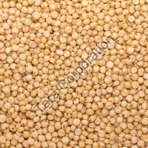 Jawar Seeds