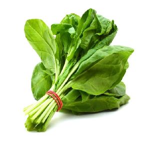 Fresh Spinach Leaves