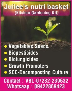 Kitchen Gardening Kit