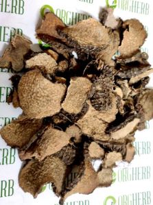 Barahikand Herb