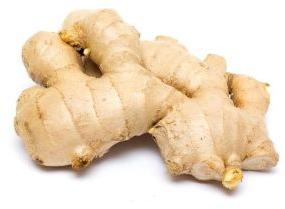 Fresh Ginger