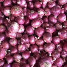 Red Nashik Onion