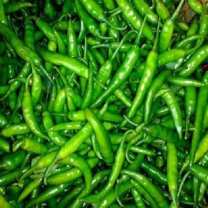 Fresh Green Chili