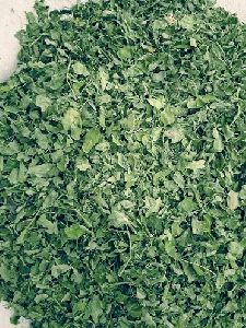 High Grade Moringa Dried Leaves