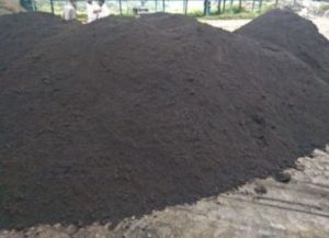 Cow Dung Manure