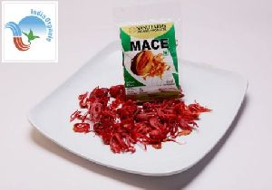 mace spices