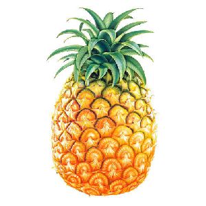 organic pineapple