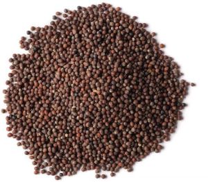 Brown Mustard Seeds