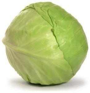 Fresh Cabbage