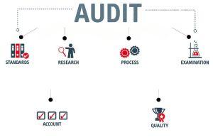 Store Audit Services