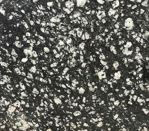 Coin Black Granite Slabs