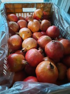 Fresh Pomegranates