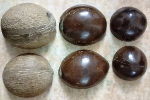 Coconut Shell Related Products