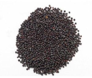 Black Mustard Seeds