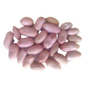 Organic Red Skin Peanuts